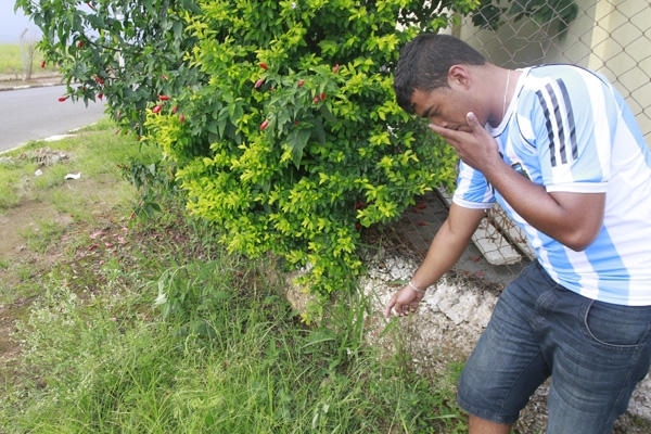 TESTEMUNHA - O sapateiro Jhonatan de Oliveira mostra o mato na calçada onde a criança abandonada foi encontrada